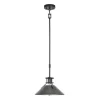 New Patriot Lighting® Ashtyn Matte Black & Charcoal Patina 1-Light Mini Pendant