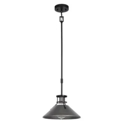 New Patriot Lighting® Ashtyn Matte Black & Charcoal Patina 1-Light Mini Pendant