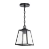 New Patriot Lighting® Grant Black 1 Light Mini Pendant