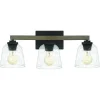 Outlet Patriot Lighting® Danae Matte Black 3-Light Vanity Light