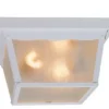 Promo Patriot Lighting® Mccormick White 2-Light Flush Mount Outdoor Ceiling Light