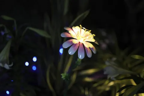 Promo Patriot Lighting® Solar Integrated Led Magnolia Landscape Light