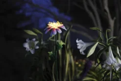 Promo Patriot Lighting® Solar Integrated Led Magnolia Landscape Light
