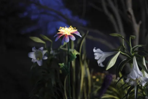 Promo Patriot Lighting® Solar Integrated Led Magnolia Landscape Light