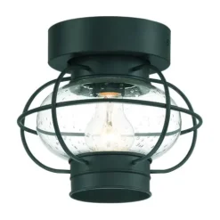Top 10 Patriot Lighting® Shoalview Bronze 1-Light Outdoor Flush Mount Ceiling Light