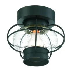 Top 10 Patriot Lighting® Shoalview Bronze 1-Light Outdoor Flush Mount Ceiling Light