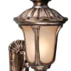 Top 10 Patriot Lighting® Windsor Parisian Bronze Outdoor Wall Light