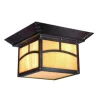 Wholesale Patriot Lighting® Rosetti Oil-Rubbed Bronze 2-Light Flush Mount Outdoor Ceiling Light